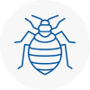 Bed Bug Extermination In Greenhithe