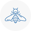 Bee Nest Removal Greenhithe