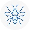 Greenhithe Hornet Nest Removals