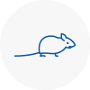 Mice Exterminators In Greenhithe