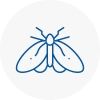 Moth Control Specialists In Greenhithe