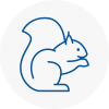 Greenhithe Rodent Removals